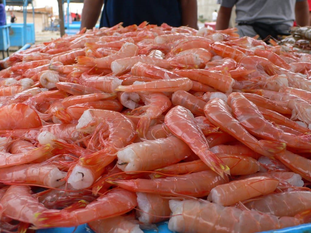 China Lifts Suspension on 8 Ecuadorian Shrimp Plants