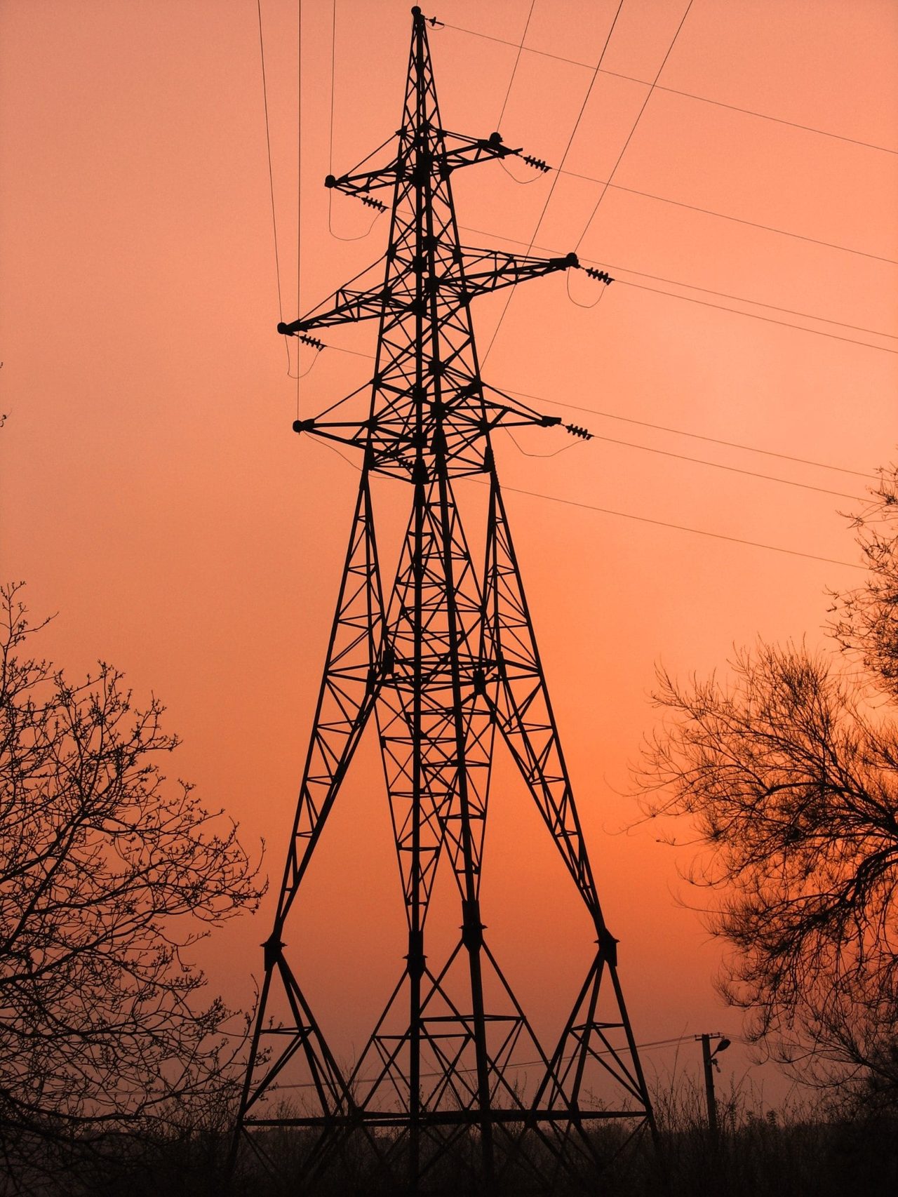 Honduras’s Power Company Is Drowning in Losses and Debt