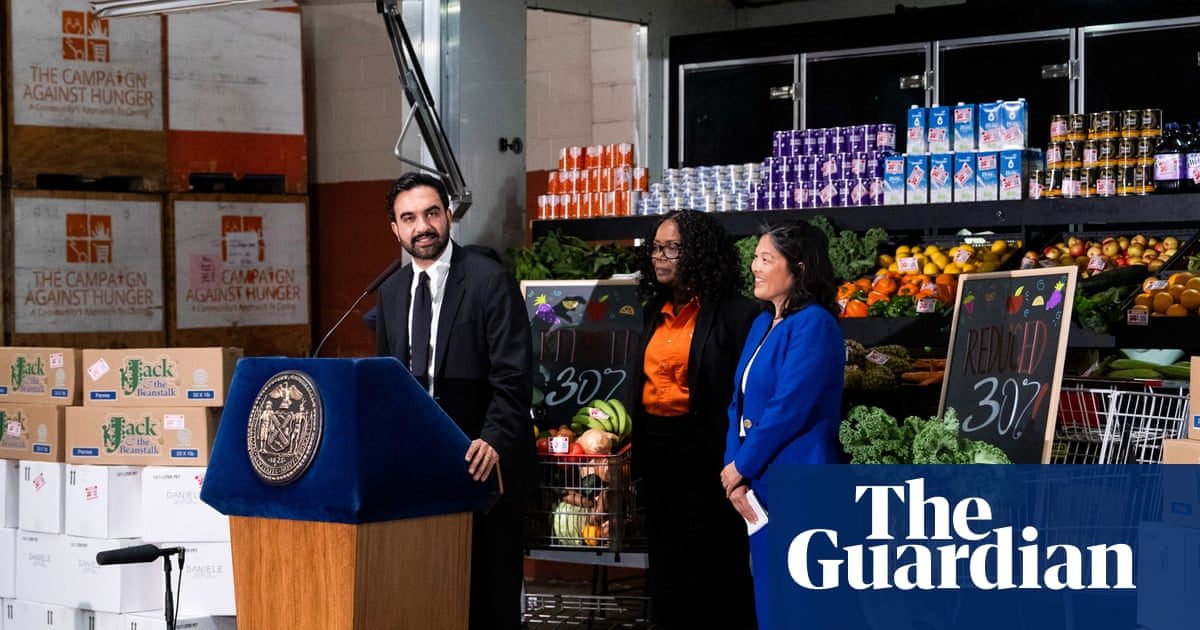 New York business group sues Mamdani over city-owned grocery stores plan