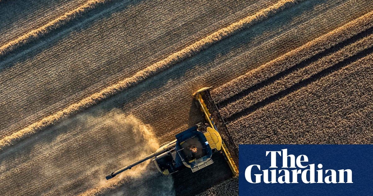 European grain losses hit €2bn, tightening global supplies