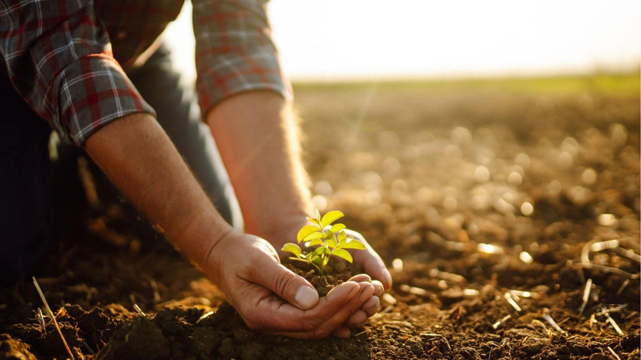 Replenish Nutrients secures $15M for Alberta plant expansion