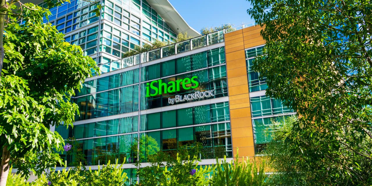 BlackRock’s iShares Surpasses $6 Trillion in Assets. What’s Driving Its Explosive Growth.