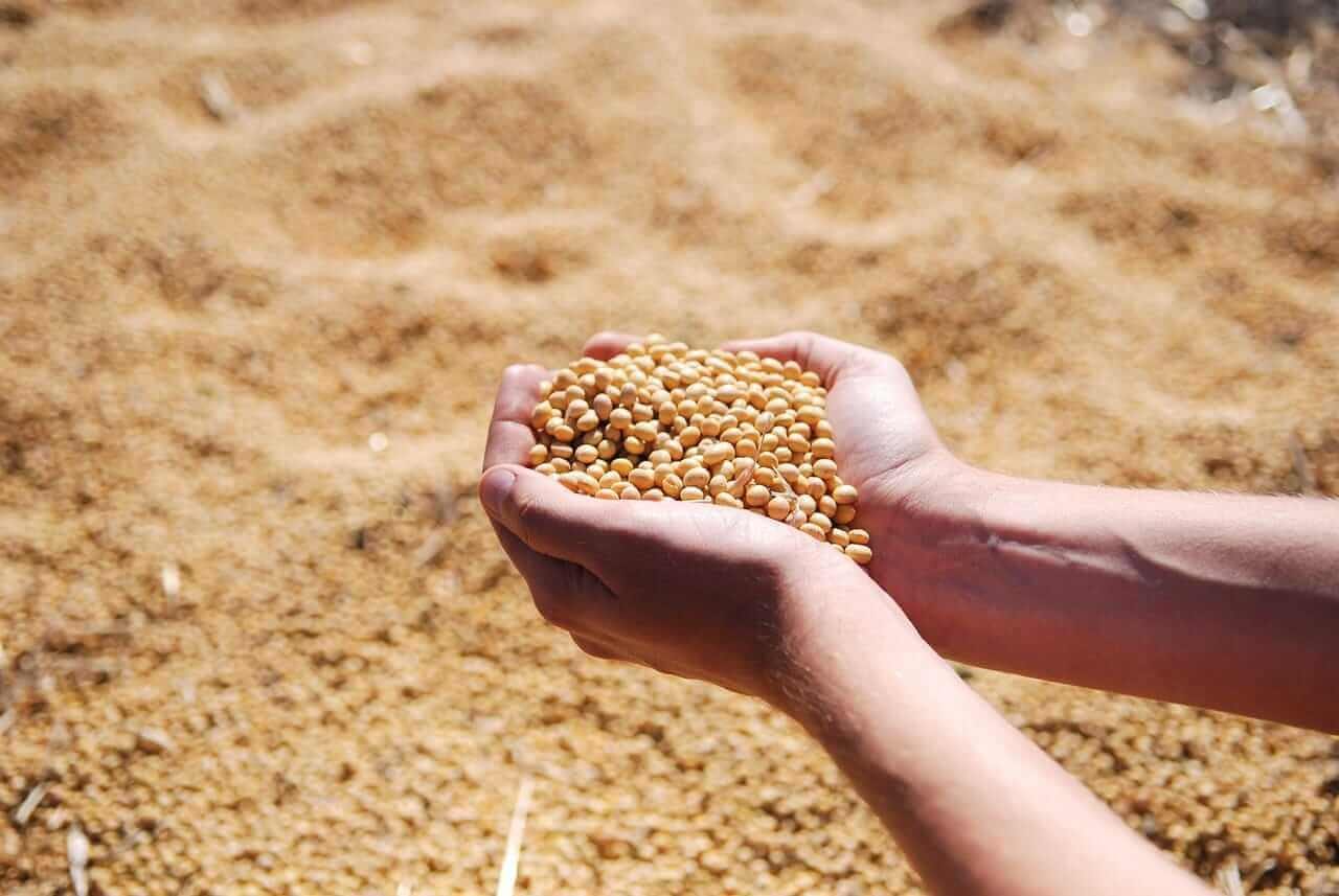Soybeans Posting Early Friday Gains