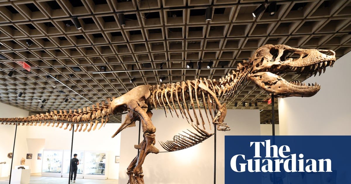 The ultra rich are collecting fossils. And that’s bad for science - video