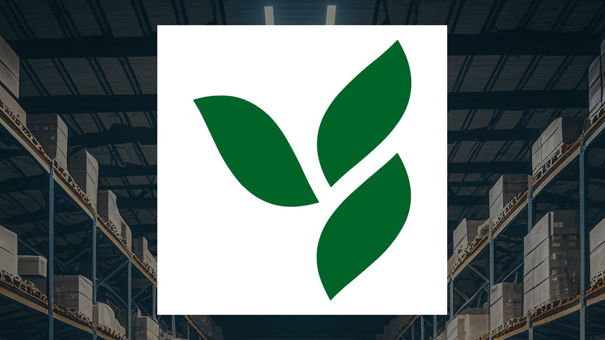 Herbalife Q2 Earnings Call Highlights