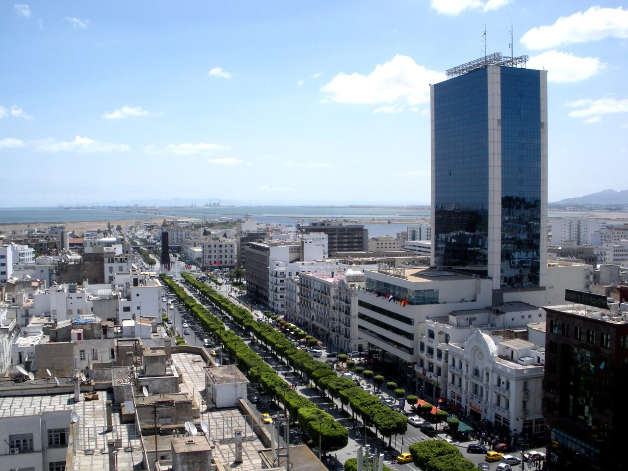 Tunisia utility debt hits 7.36bn dinars amid political risk