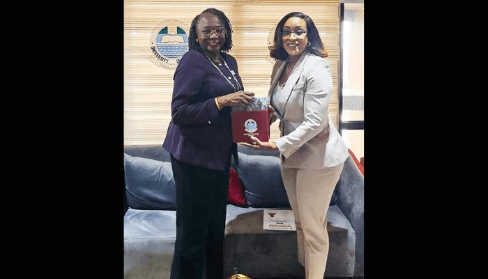 NDPHC chief sees reliable power as key to Nigeria’s economic takeoff