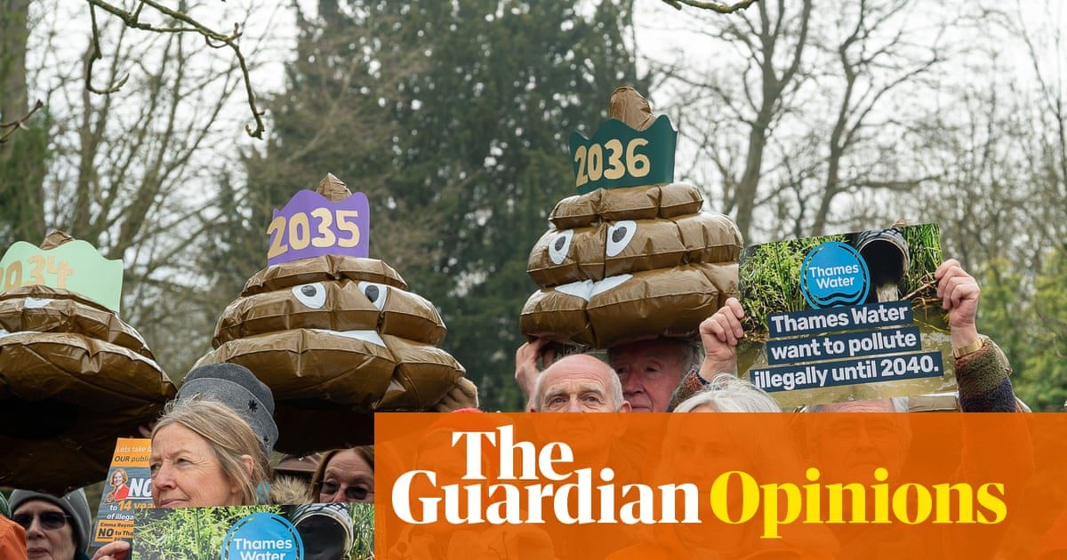 From Scotland, I look at England’s water privatisation disaster. I wish you had done what we did | Devi Sridhar