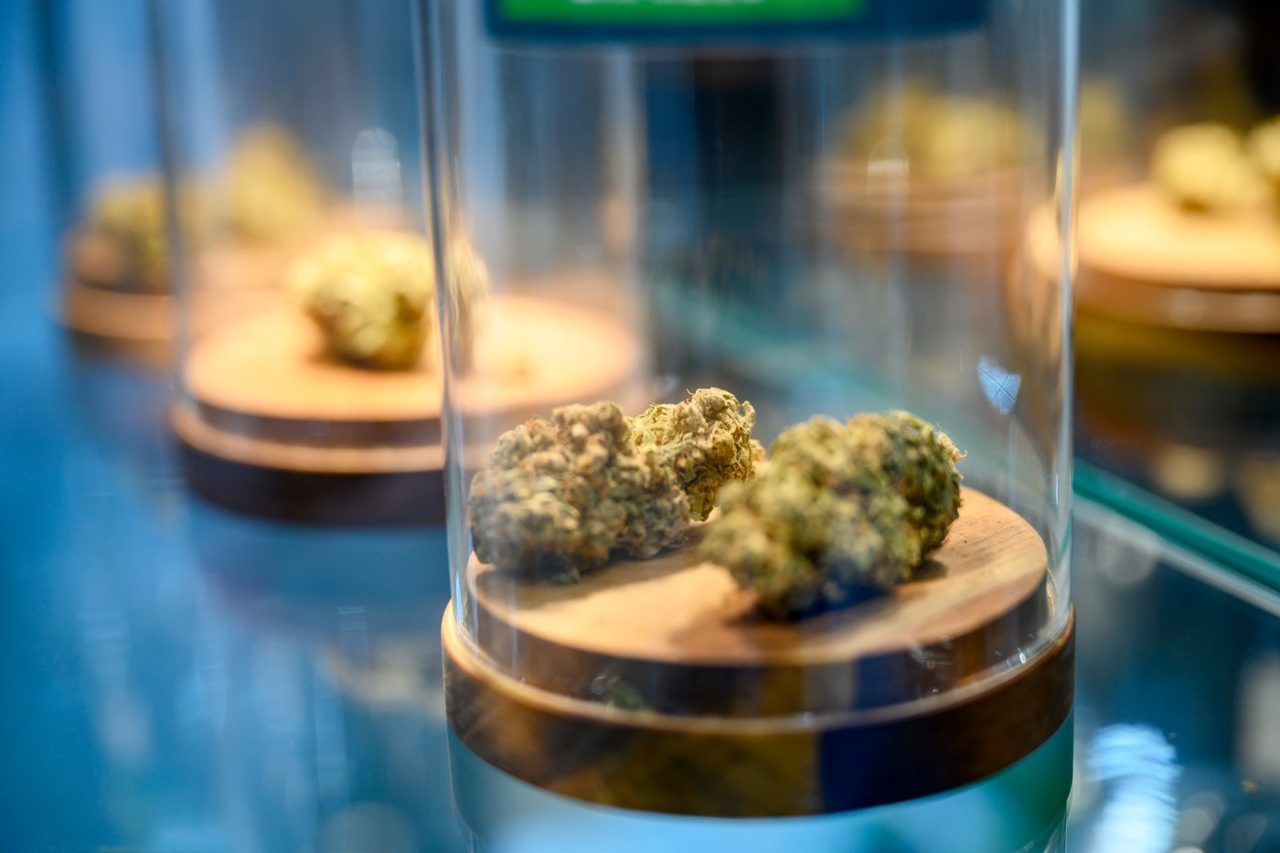 Canopy Growth: Penny Stock Purgatory -- or Cannabis Rebound in the Making?