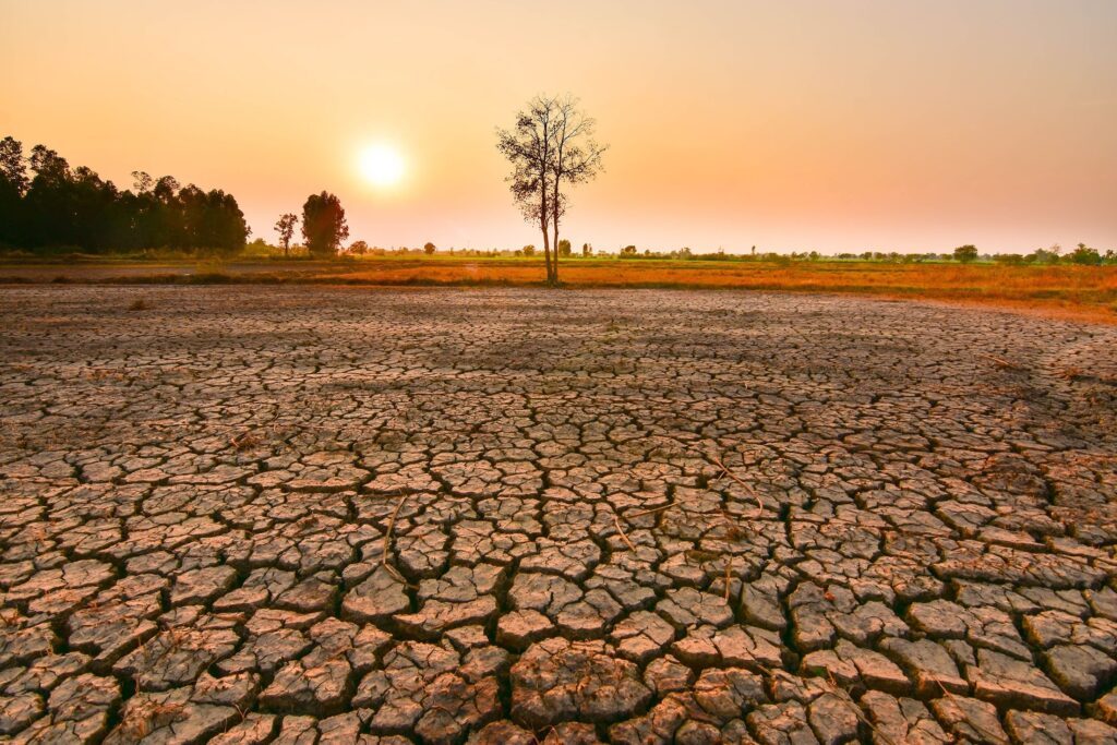 AFRICA FINANCE IN BRIEF: Climate risks, inflation, trade tensions reshape Africa’s outlook