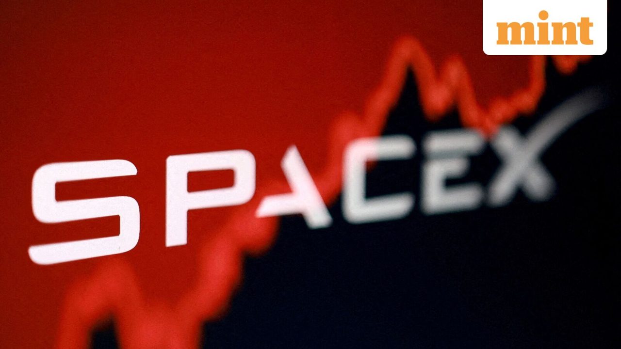 SpaceX stock ends seven-day slide before $116bn share unlock