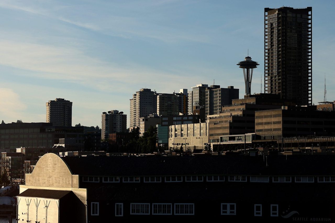 One-third of Seattle's downtown is empty: Here's how America's boomtown turned into one of the toughest places to find a job