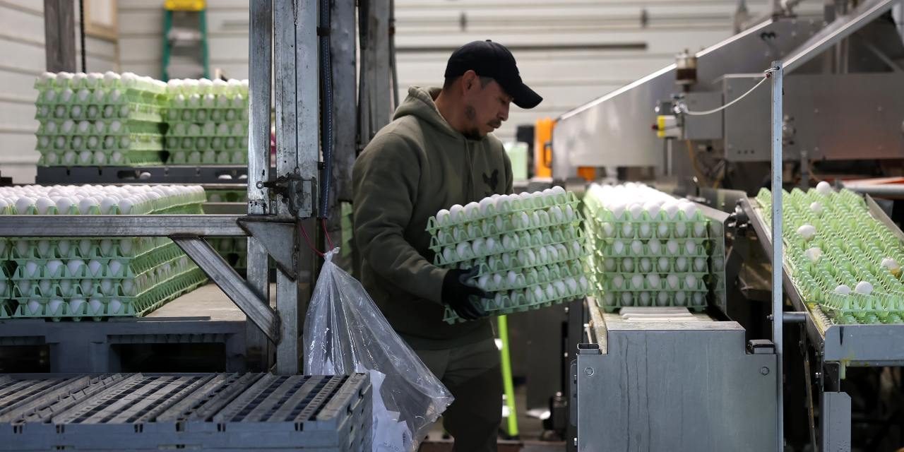 U.S. Producer-Price Index Fell in June