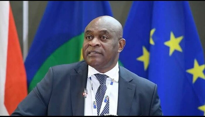 South Africa seeks reimbursement from Nigeria, others for migrant repatriation