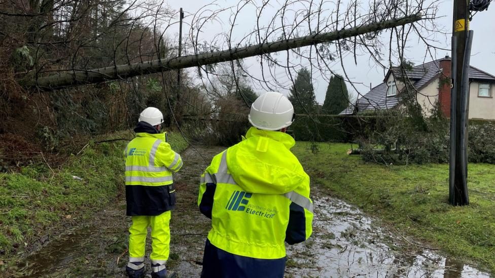 Minister to bring forward storm compensation law