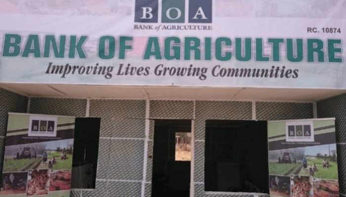 BOA moves to close agricultural gender gap with direct input financing
