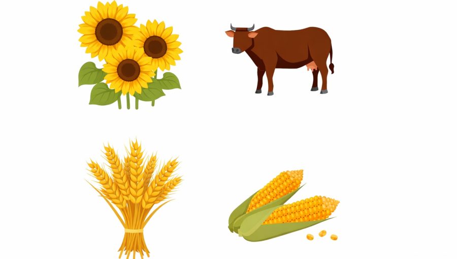 Iran and the Philippines offer Russia two very different farm-export bets