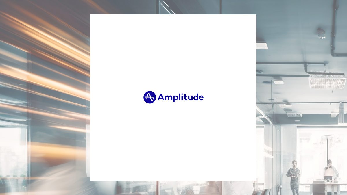 Amplitude Q2 Earnings Call Highlights