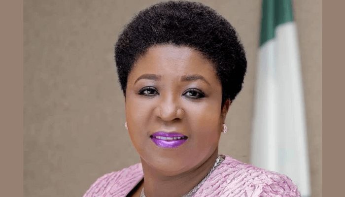 Nigeria probes alleged fraud in foreign investment council