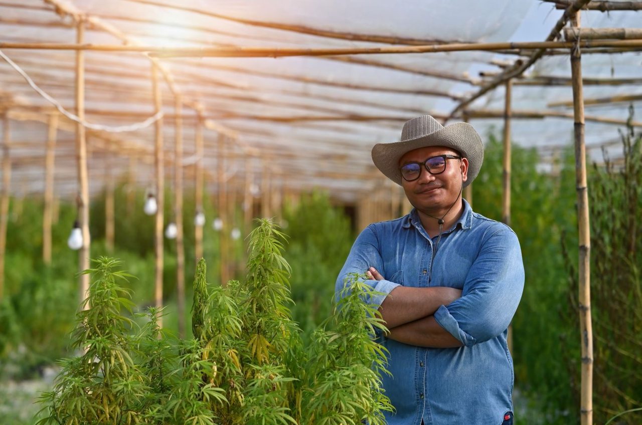 The Surprising Part of Tilray's Business That Drove Most of Its Growth Last Year