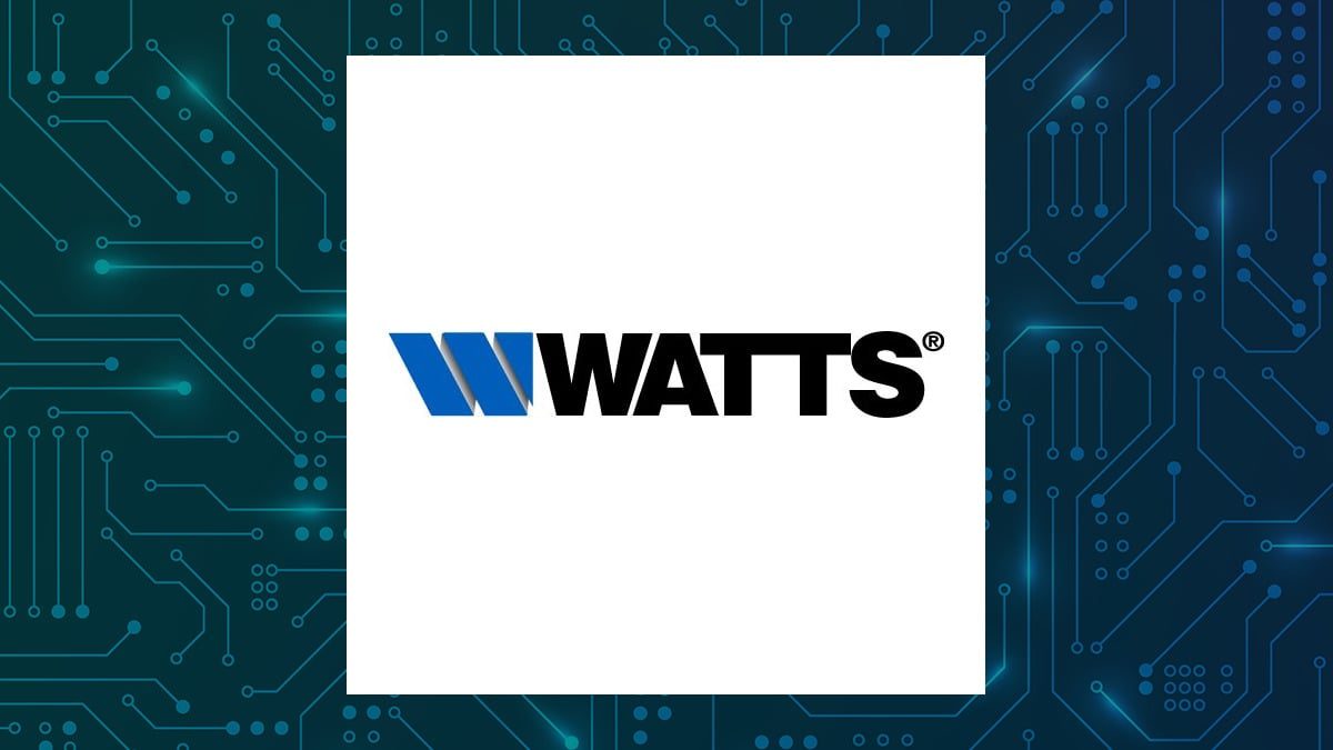 Watts Water Technologies Q2 Earnings Call Highlights