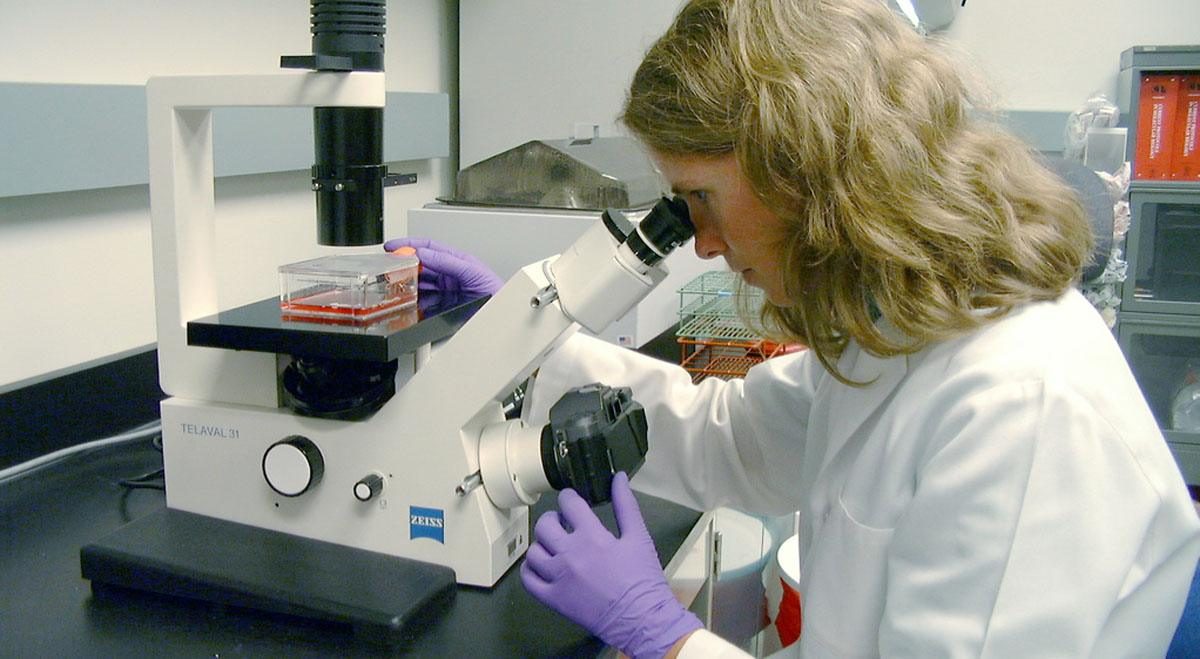 Boston Scientific Beats Second-Quarter Expectations as Sales Growth Lifts Shares