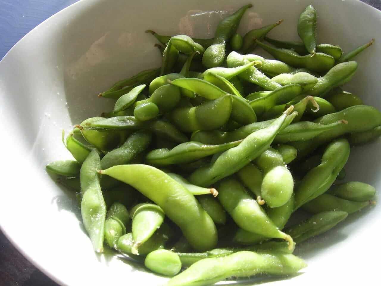 Soybeans Slips off Highs into Tuesday’s Close