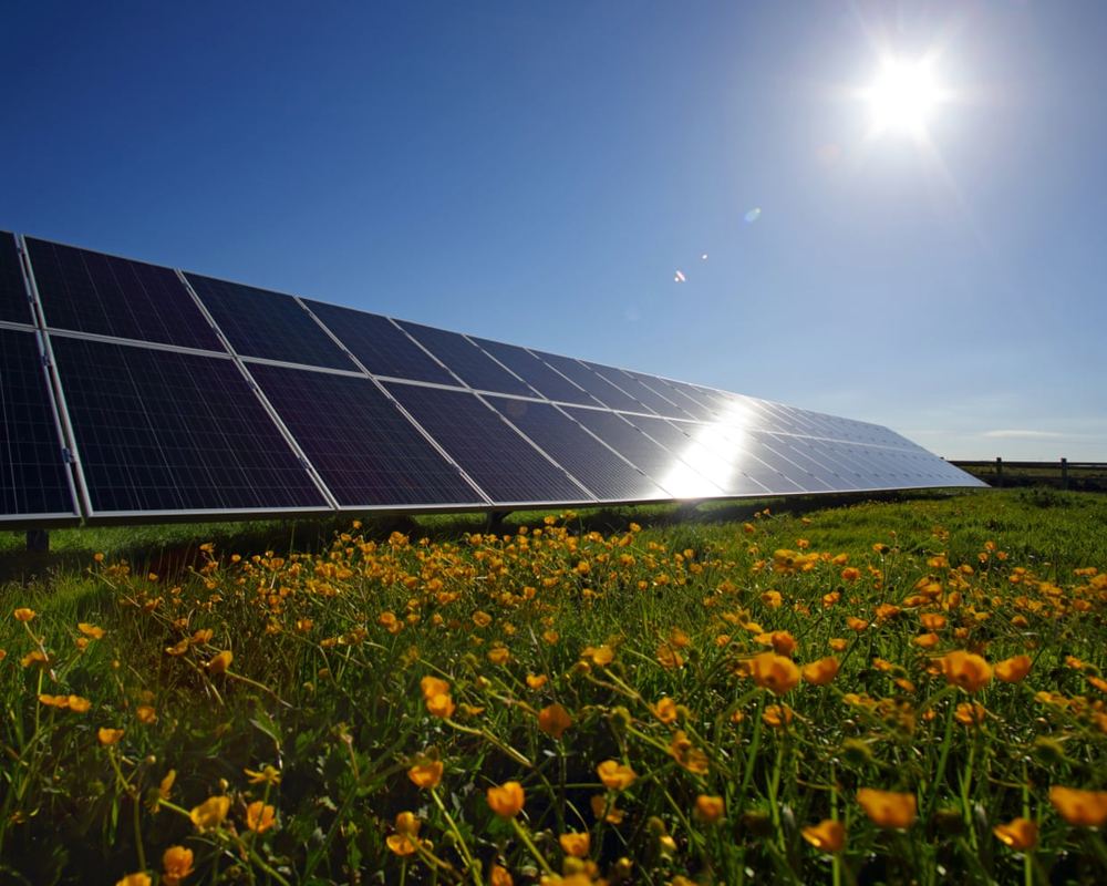 UK solar park shut over grid limits, costing investors £2m