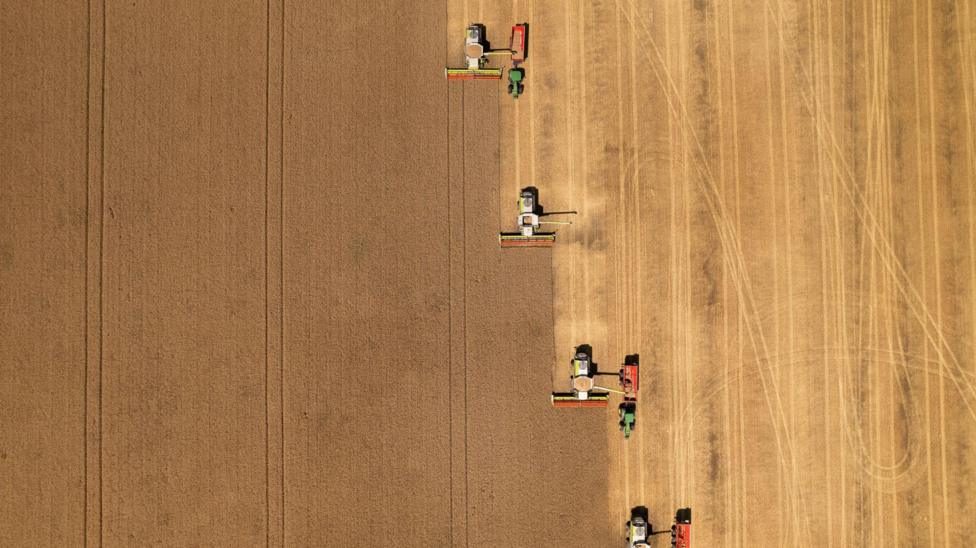 Farmers warn shoppers face smaller and more expensive vegetables due to hot weather