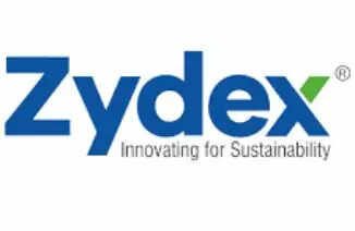 Zydex eyes Rs 300 cr revenue from paints business in 2 years
