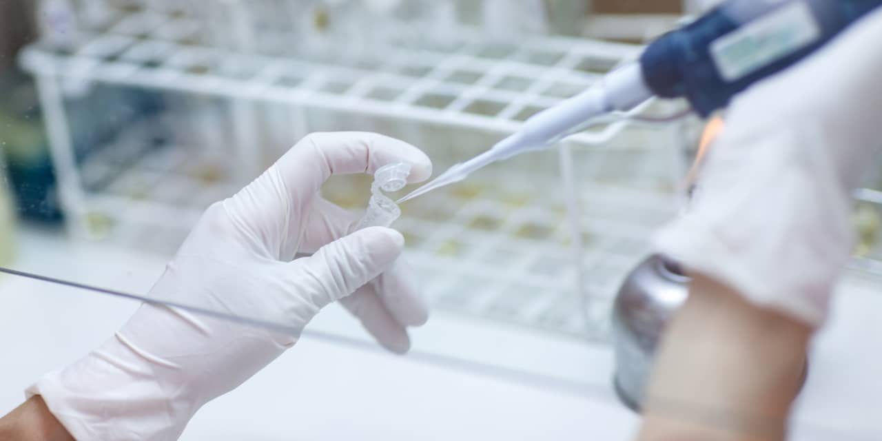 EyePoint Stock Craters 69% After Drug Trial Failure. It May Be an Overreaction.