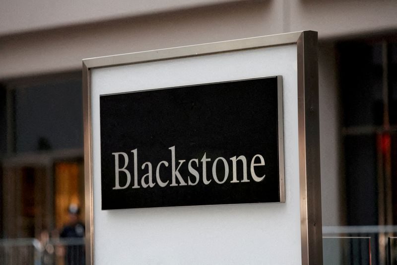 Exclusive-Hackers targeted US private equity, other firms including Blackstone, CME, data shows