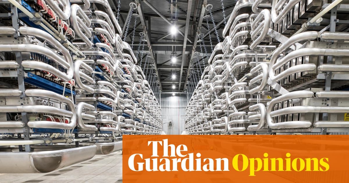 Energy nationalism and interconnectors: the next power threat? | Nils Pratley