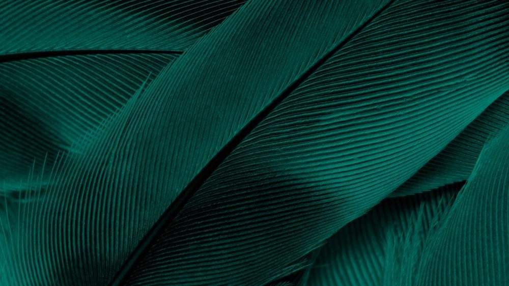Predicting What Could Move This Robinhood ETF