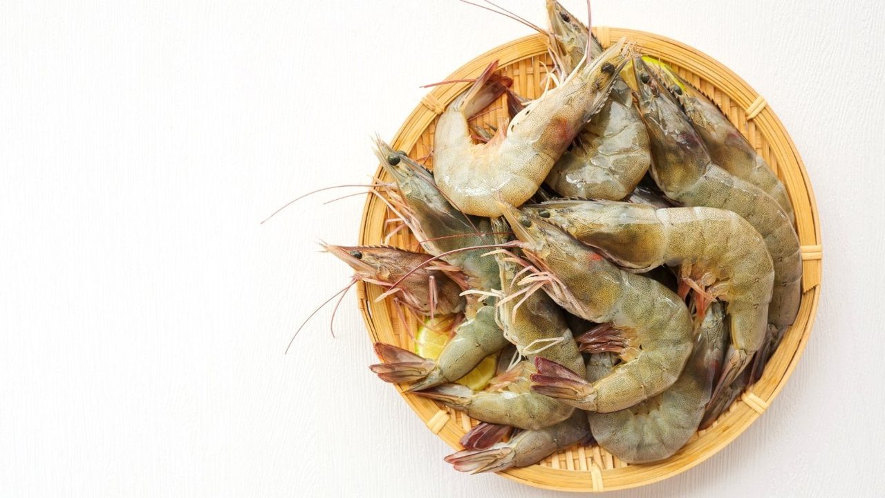 Dutch seafood group Zalmhuys buys importer BML