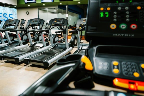 The best subscription-free treadmills, according to Consumer Reports