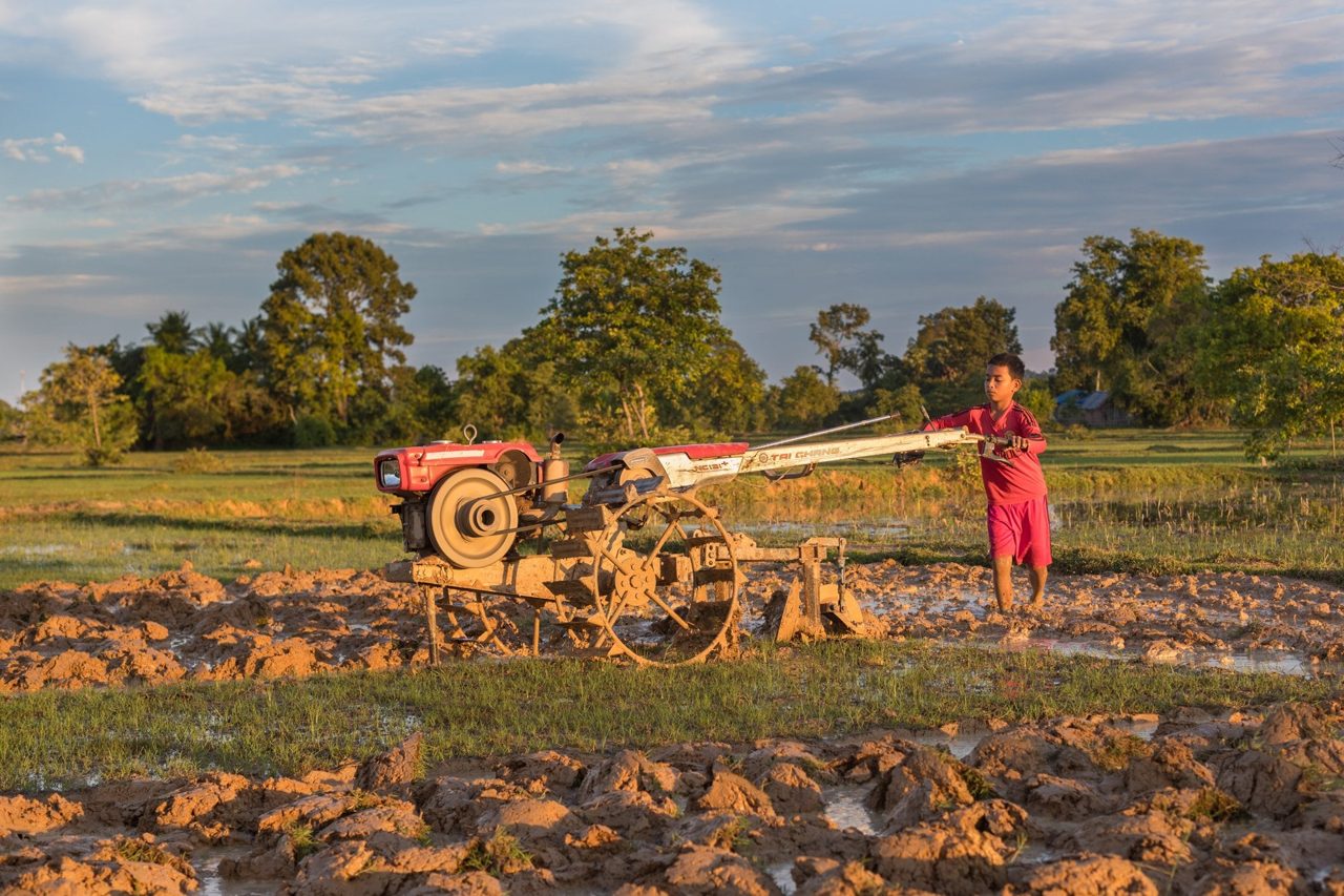 Brazil Agribusiness Insolvency Filings Jump 22% on Serasa Data