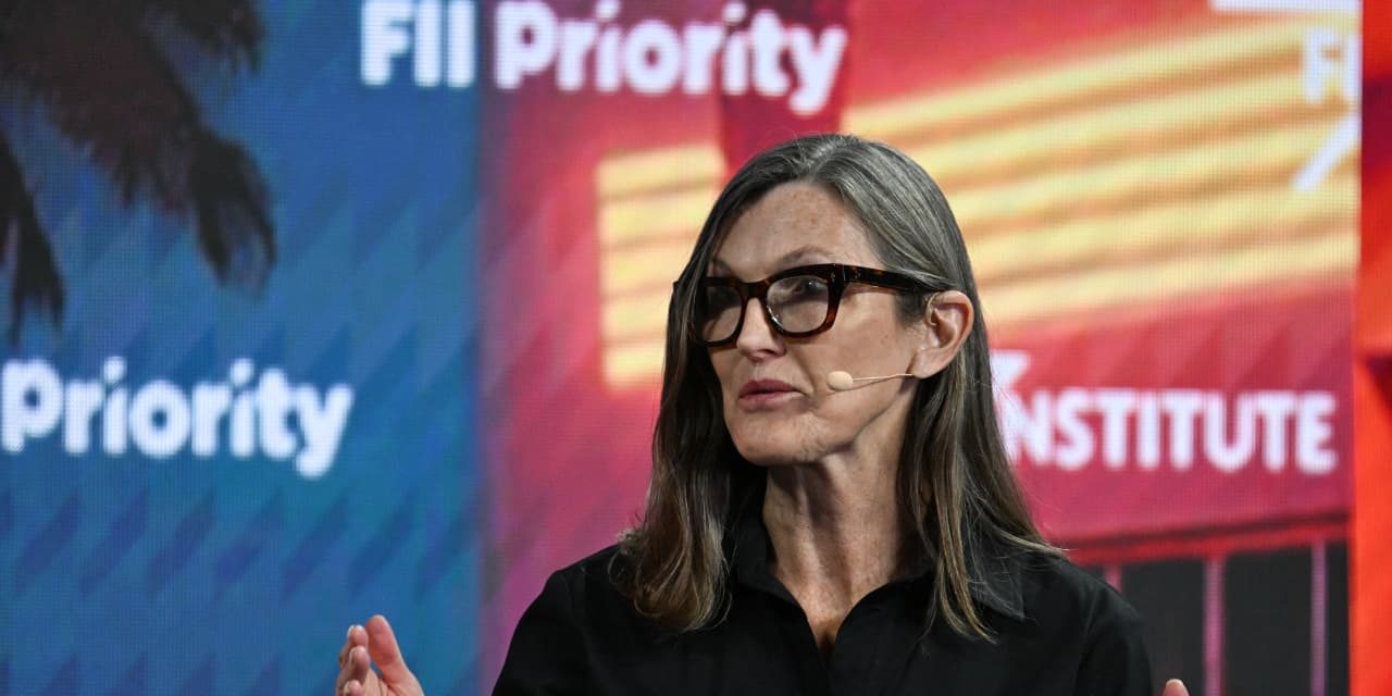Cathie Wood Is Doubling Down on Tesla Again. Why She’s Buying When Everyone Else Is Selling.