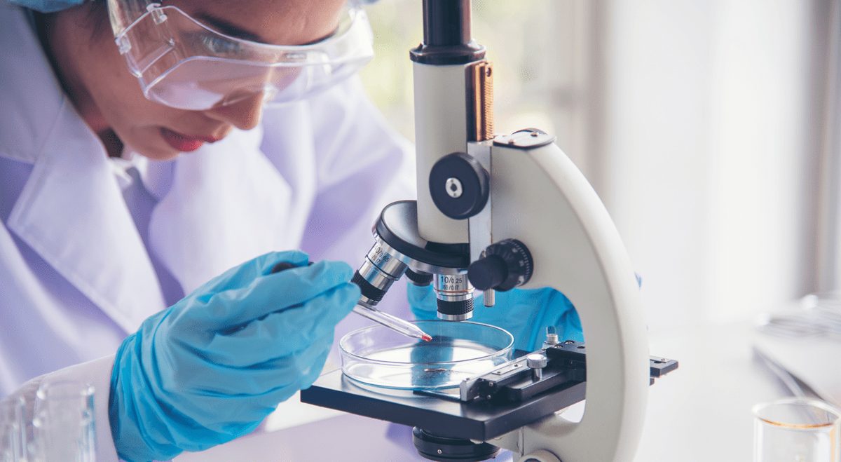 Zimmer Biomet raises full-year outlook after second-quarter earnings beat