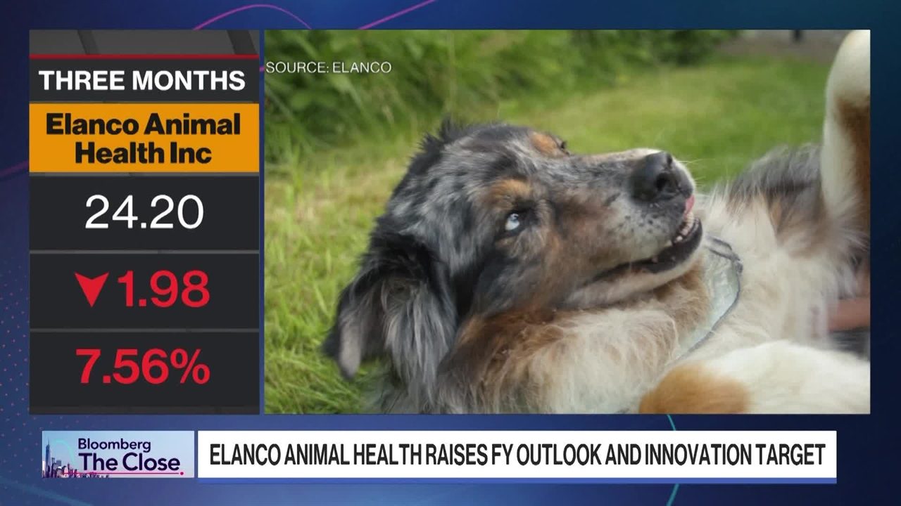 Elanco CEO on Boosted Forecast, Surge in Tick Bites