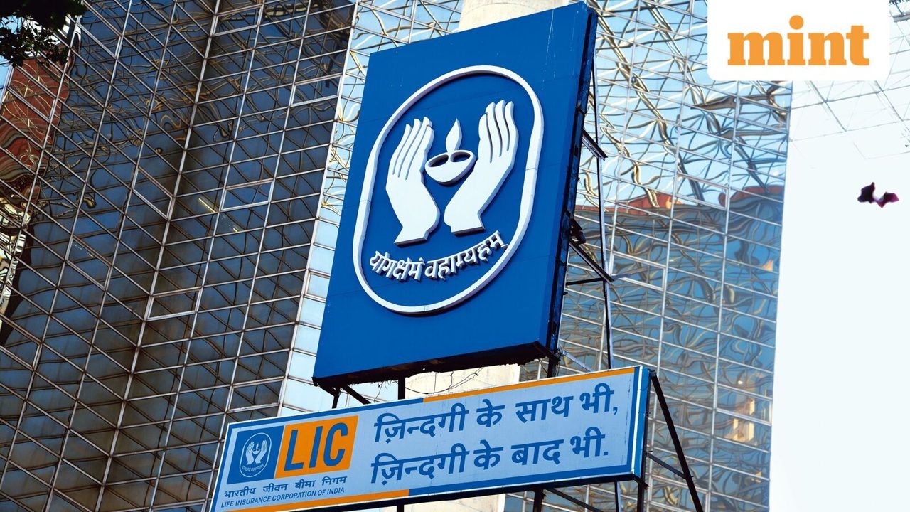 Bankers kept in dark on LIC’s unusually fast and large $3.3-billion OFS