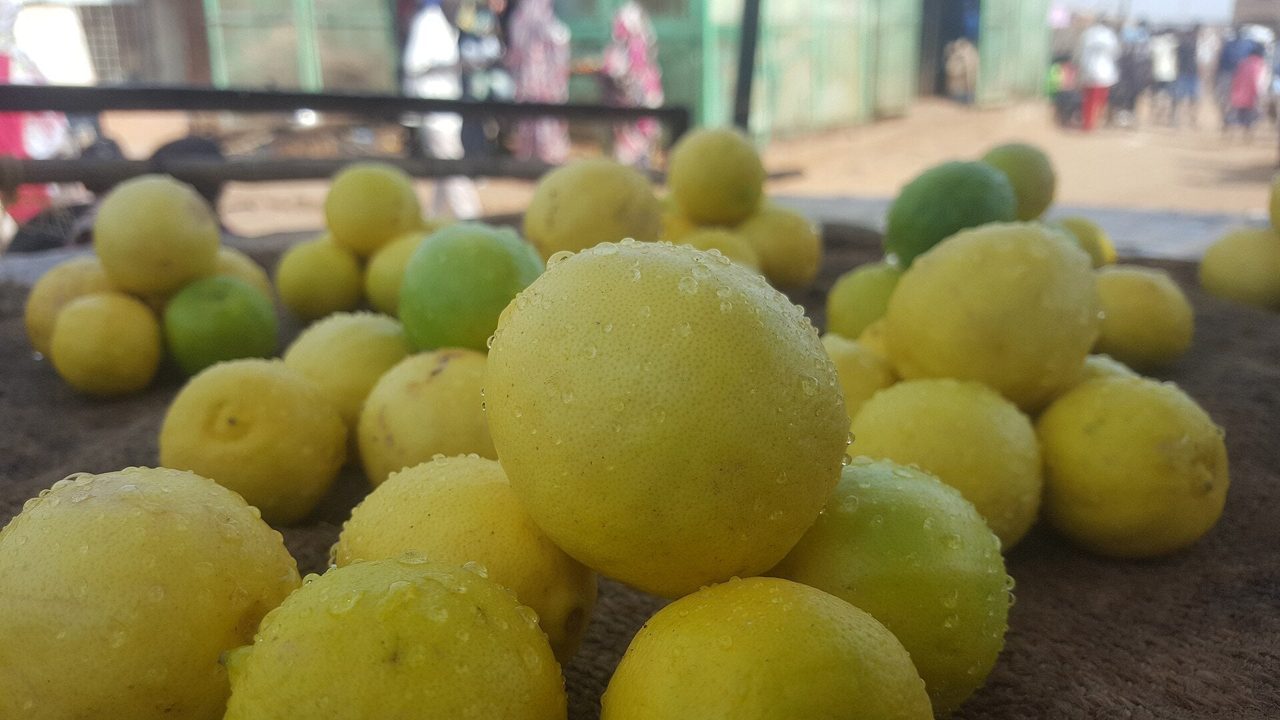 Panama Opens Its Market to Argentine Lemons from Tucumán