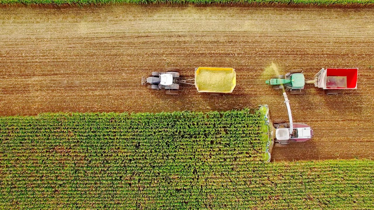 Beer giant Constellation Brands invests $100M in US farm profitability